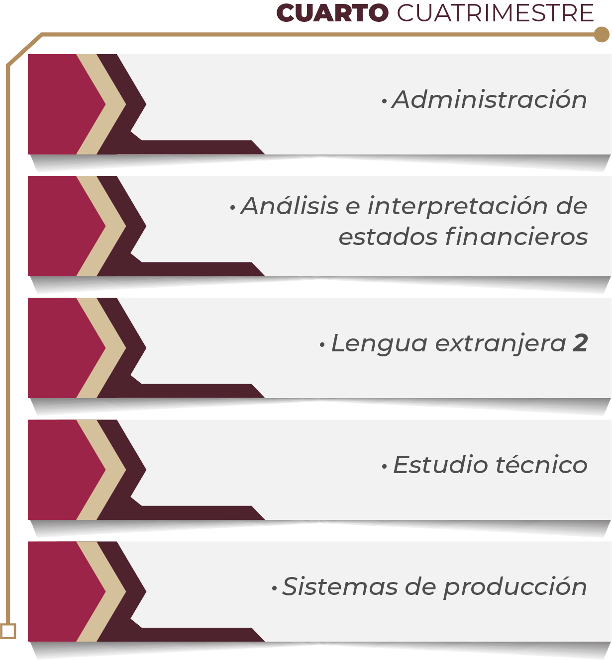 MAPA CURRICULAR GESTIÓN